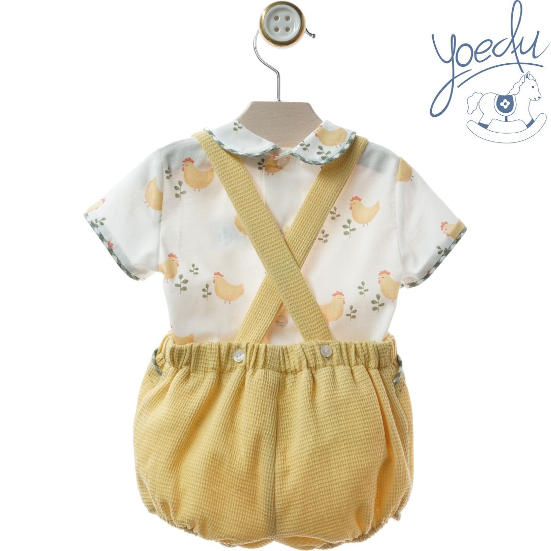 0011 FAMILIA ÁNFORA (2)