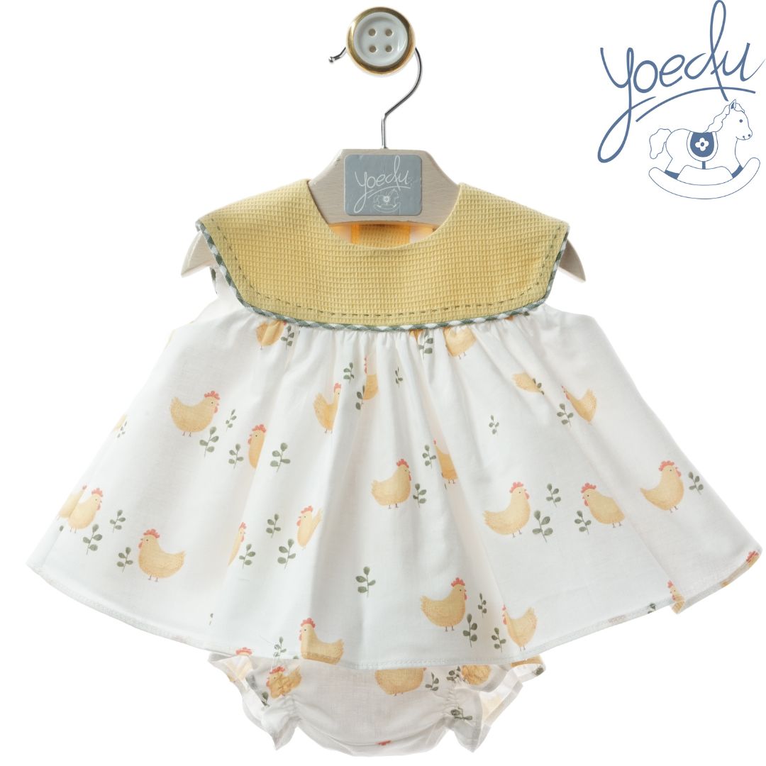 0043 FAMILIA ÁNFORA