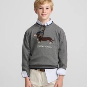 Jersey Kids Dog Gris Silbon